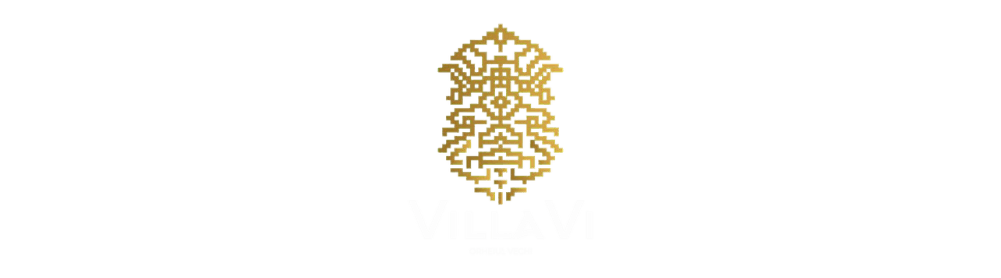 Villa Vi Orhei